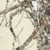 Заиндевелые деревья - Отпечаток на льду - художник нихонга Кондо Юкио